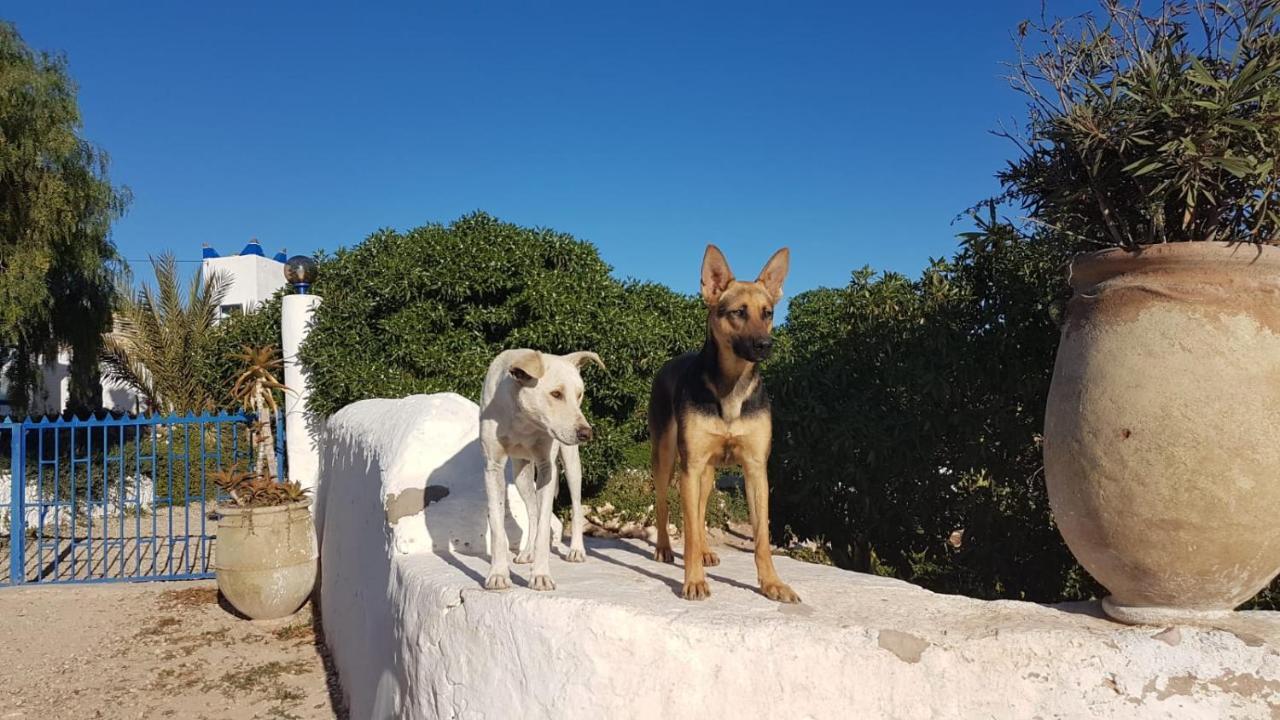 L'Air De La Mer Sidi Kaouki Eksteriør billede